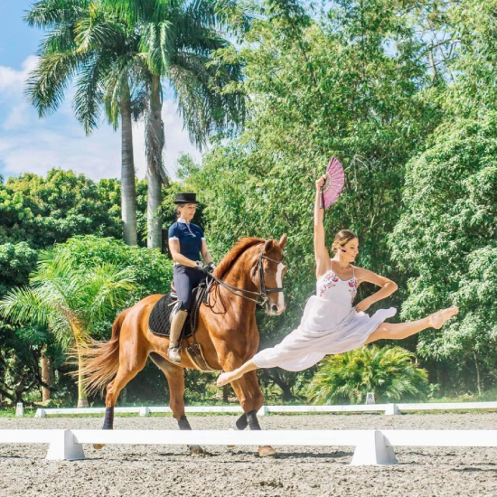 Private horse riding lessons